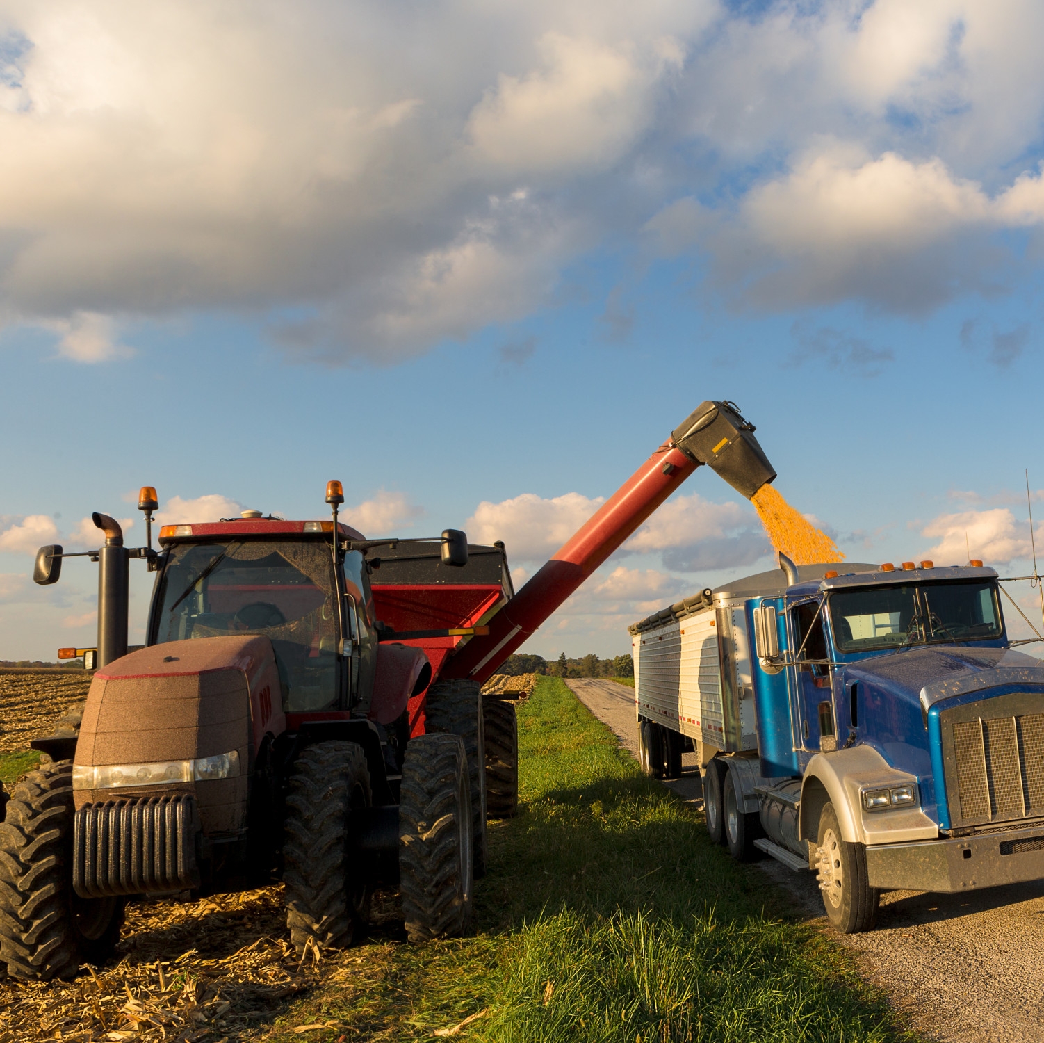 Loading crop of corn to Semi Truck from combine harvester after harvest